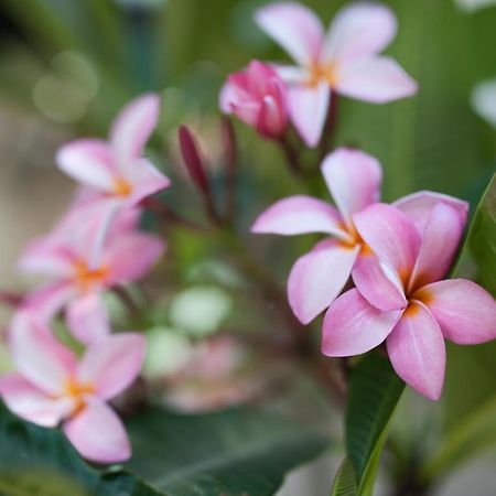 Kenting White Hotel 헝춘 외부 사진